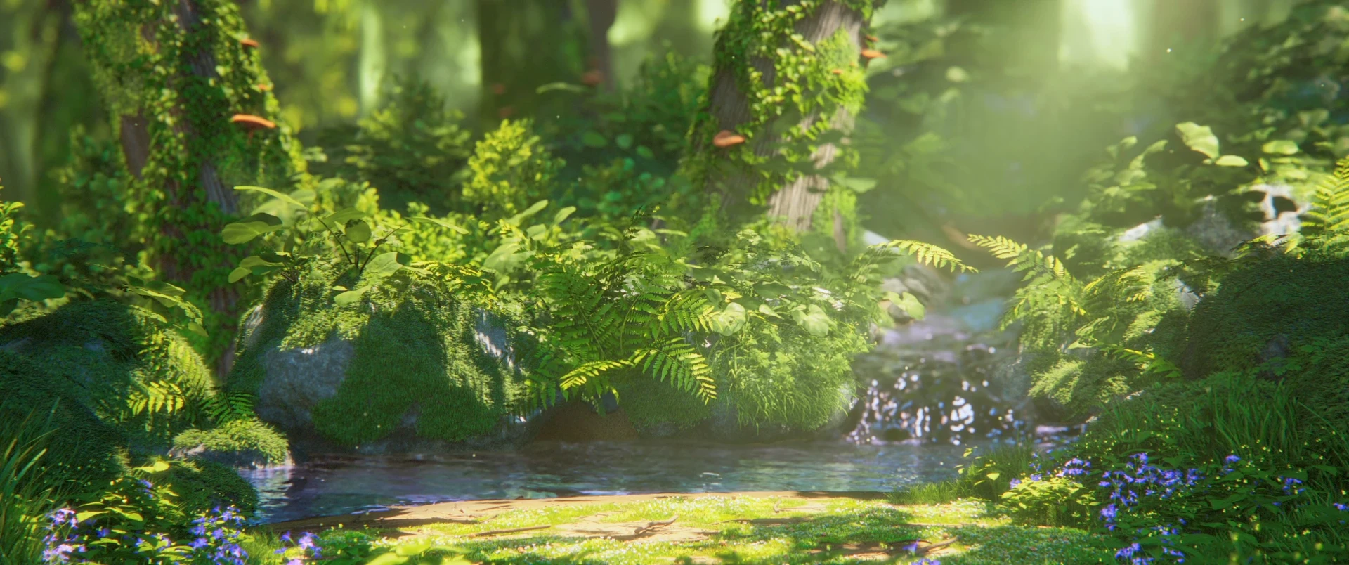 Quack — realistic forest wide